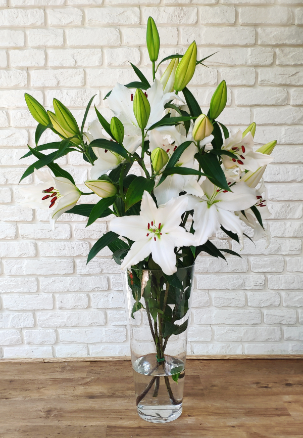 Białe lilie w wazonie